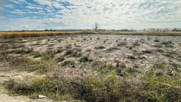 property image #0
