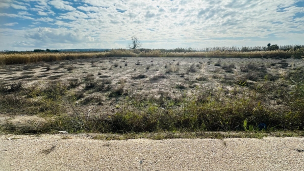 property image #2