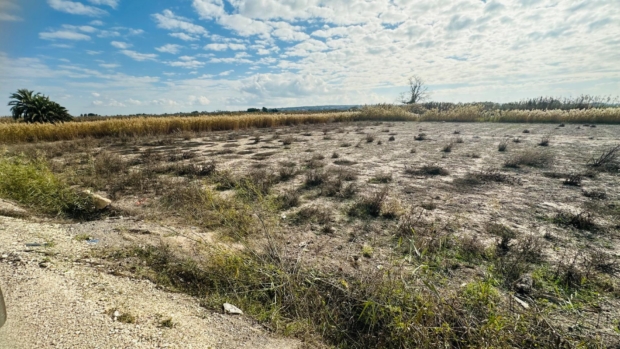 property image #3