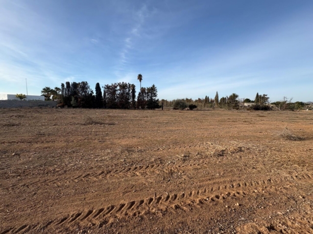 property image #2