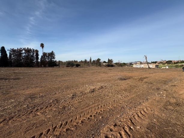 property image #3