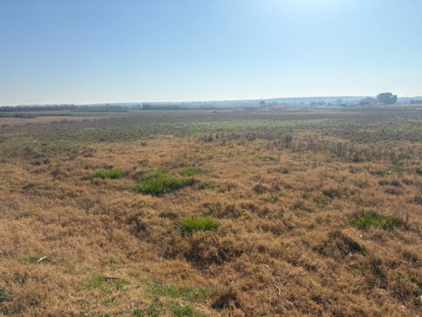 property image #2