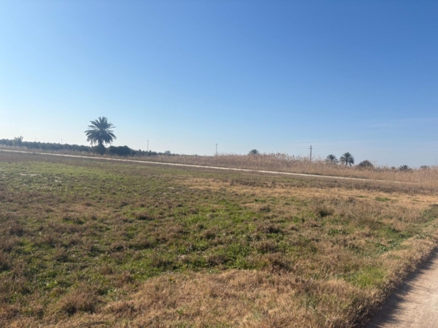 property image #3