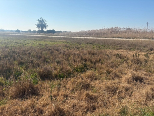 property image #4