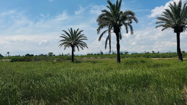 property image #0