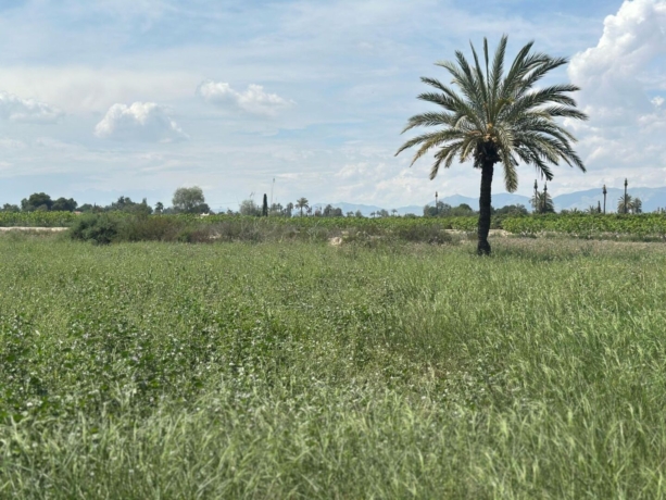property image #1