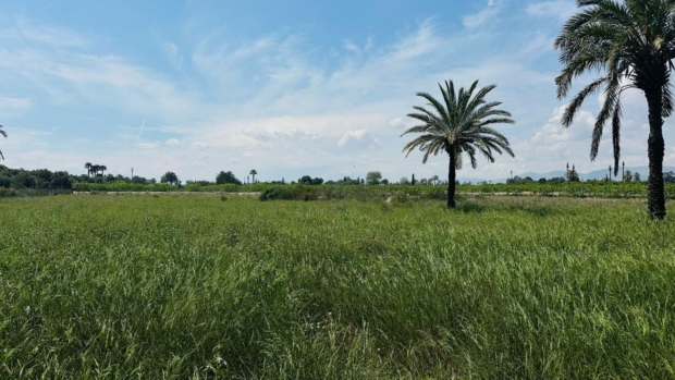 property image #2