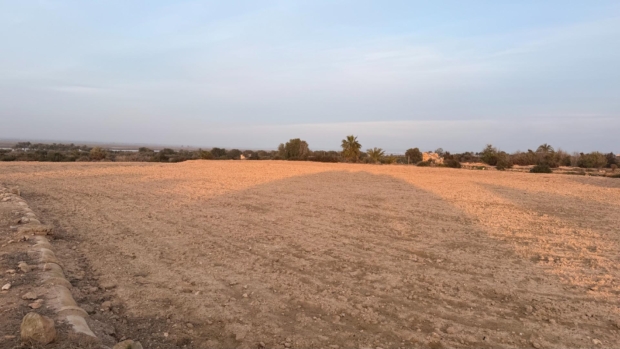 property image #4