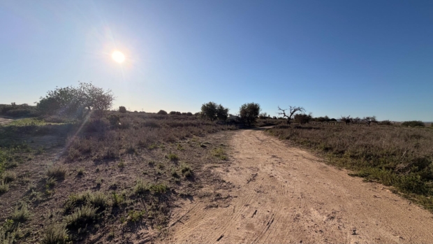 property image #1