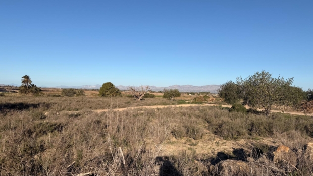 property image #2