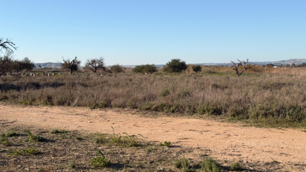 property image #3