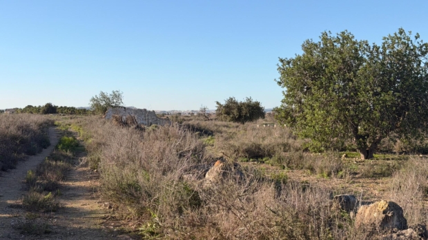 property image #4