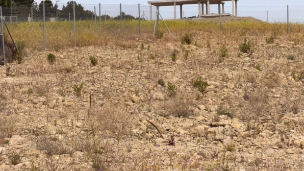 property image #3