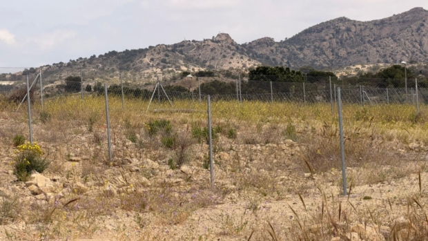 property image #0