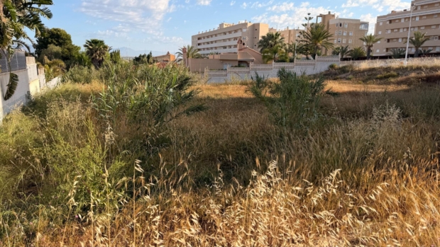 property image #3