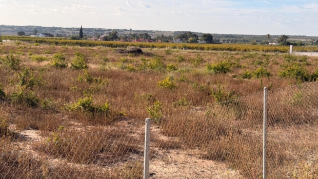 property image #1