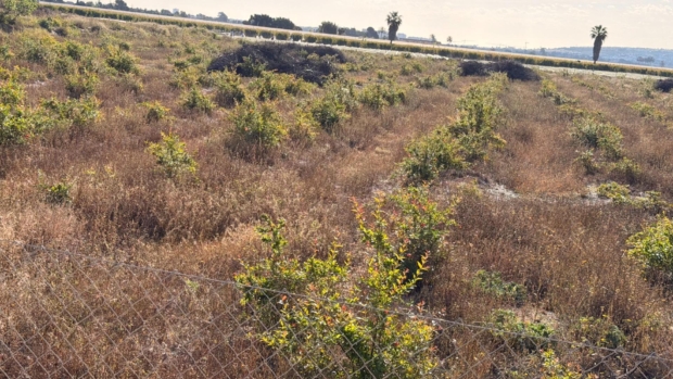 property image #4