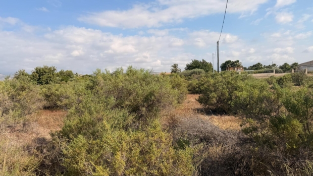 property image #1