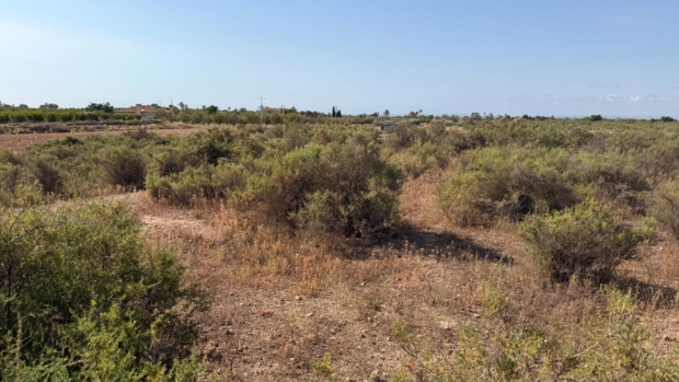 property image #2