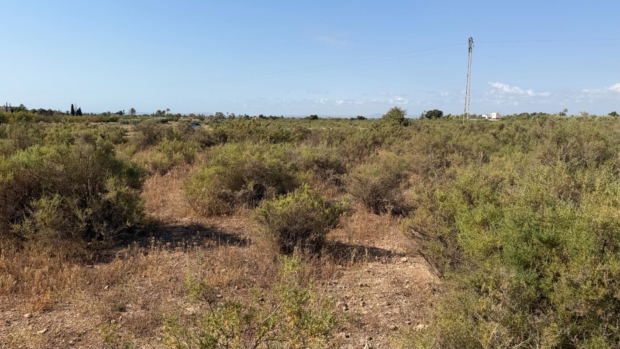 property image #3