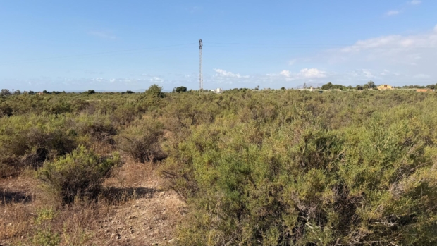 property image #4