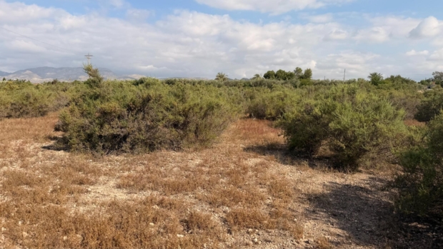 property image #0