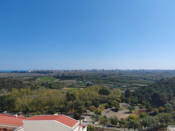 Vistas