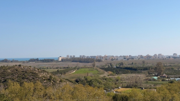 Vistas