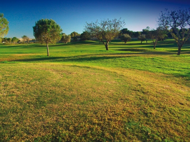 Alrededores