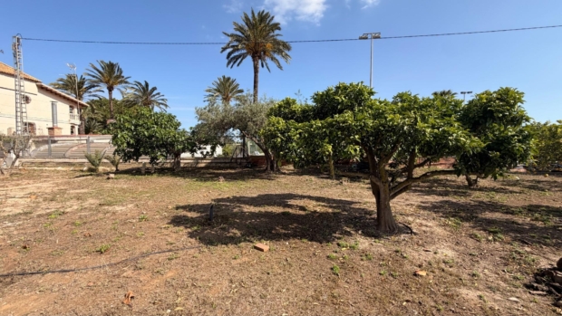 Jardín