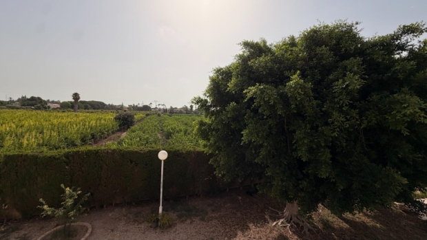 Jardín