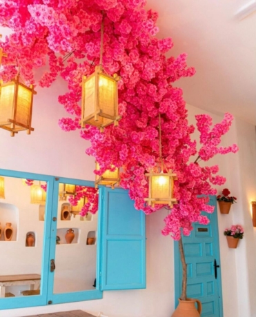 property image #1